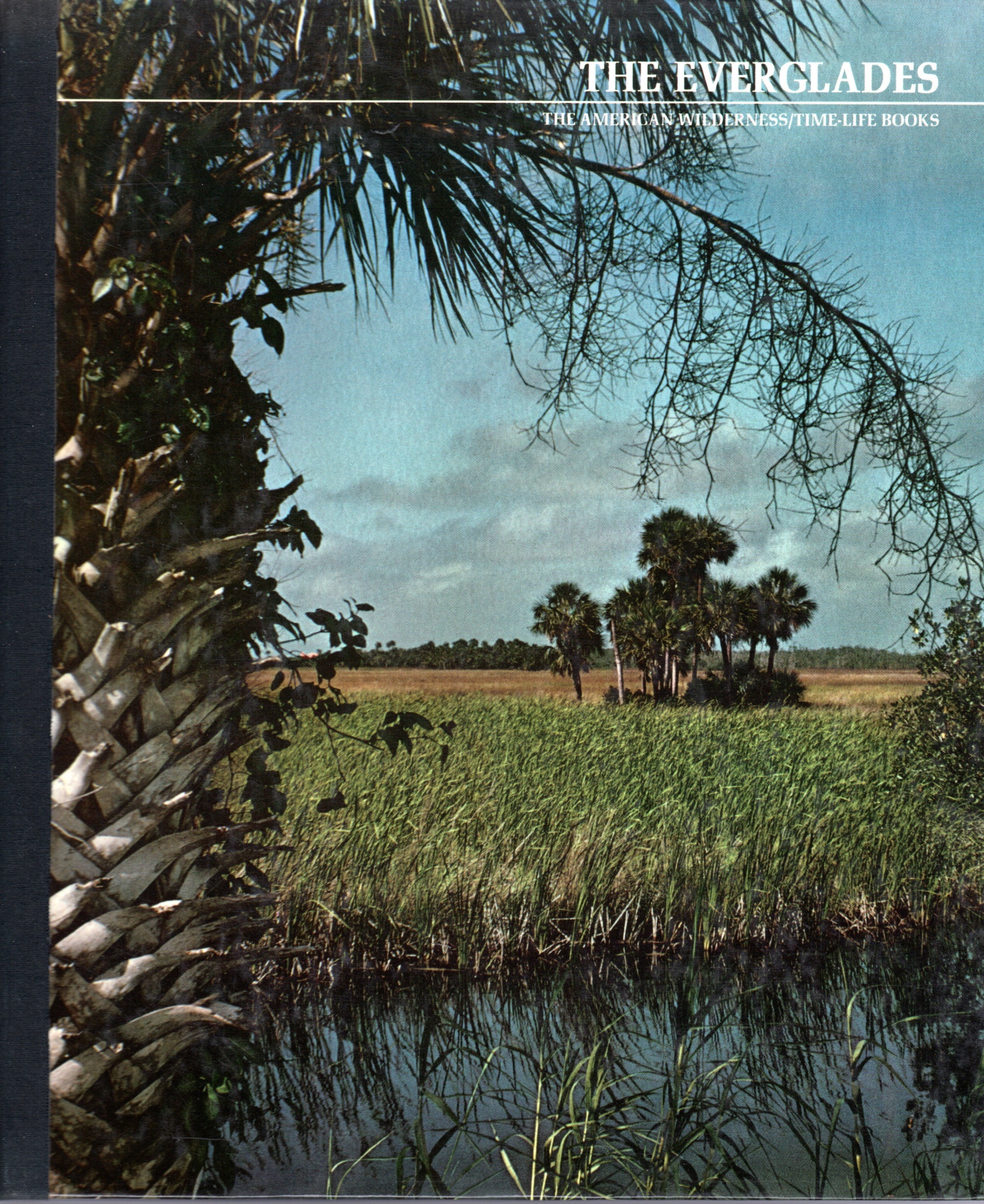 Image for The Everglades